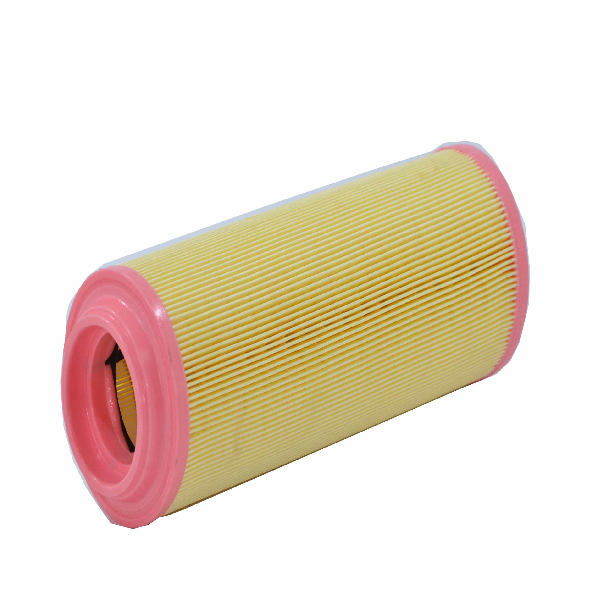 Air Filter (A2512)