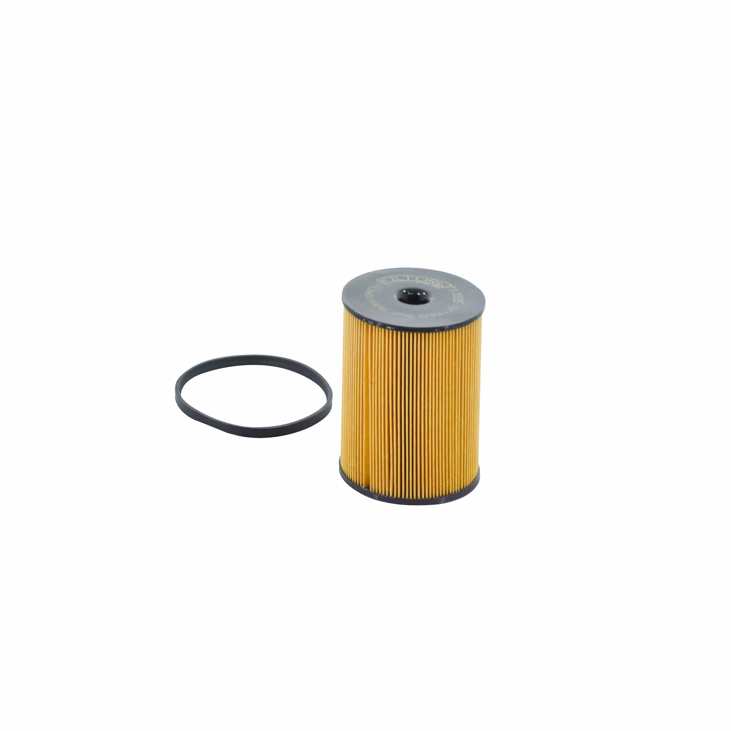 Fuel Filter (F7005)
