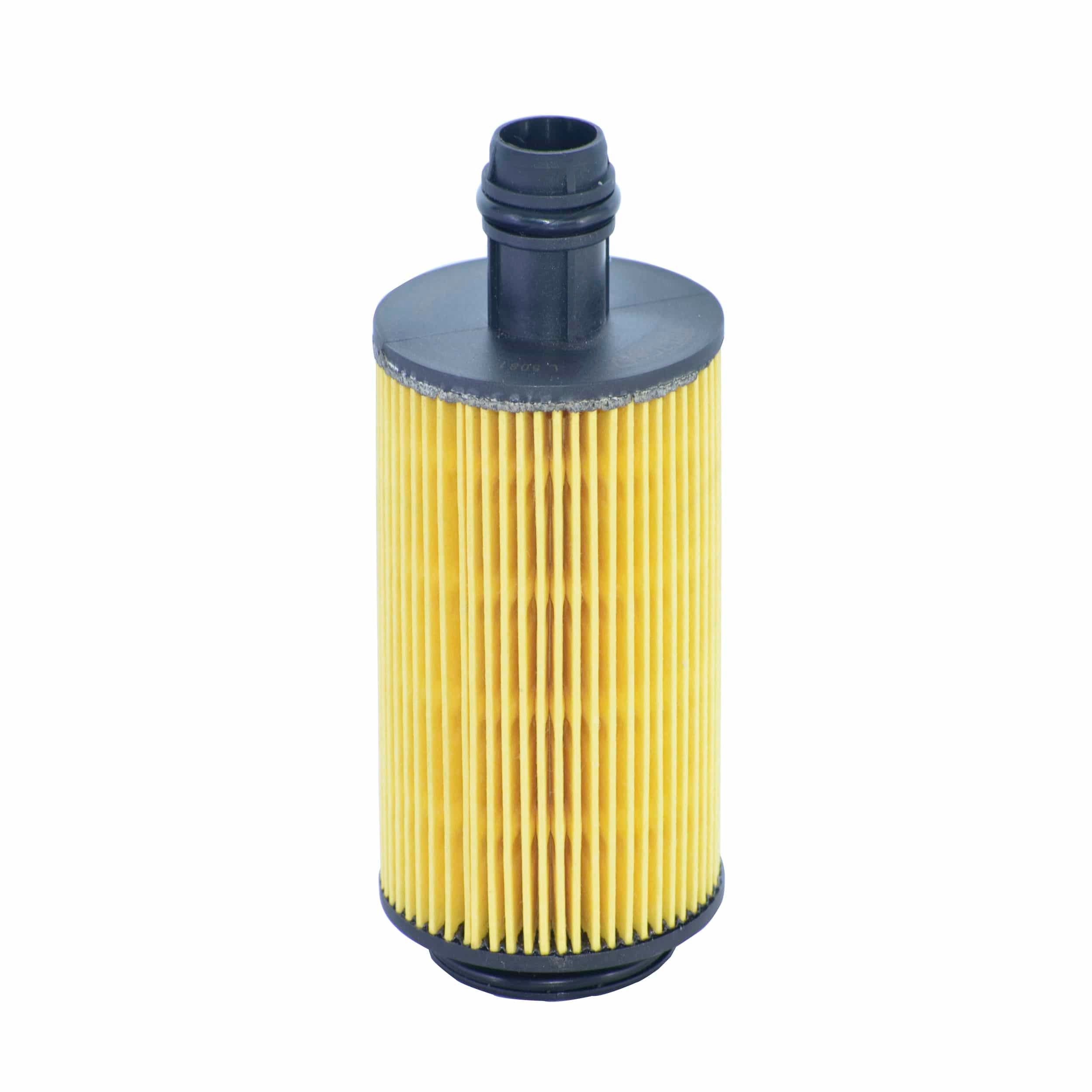 Oil Filter (L5081)