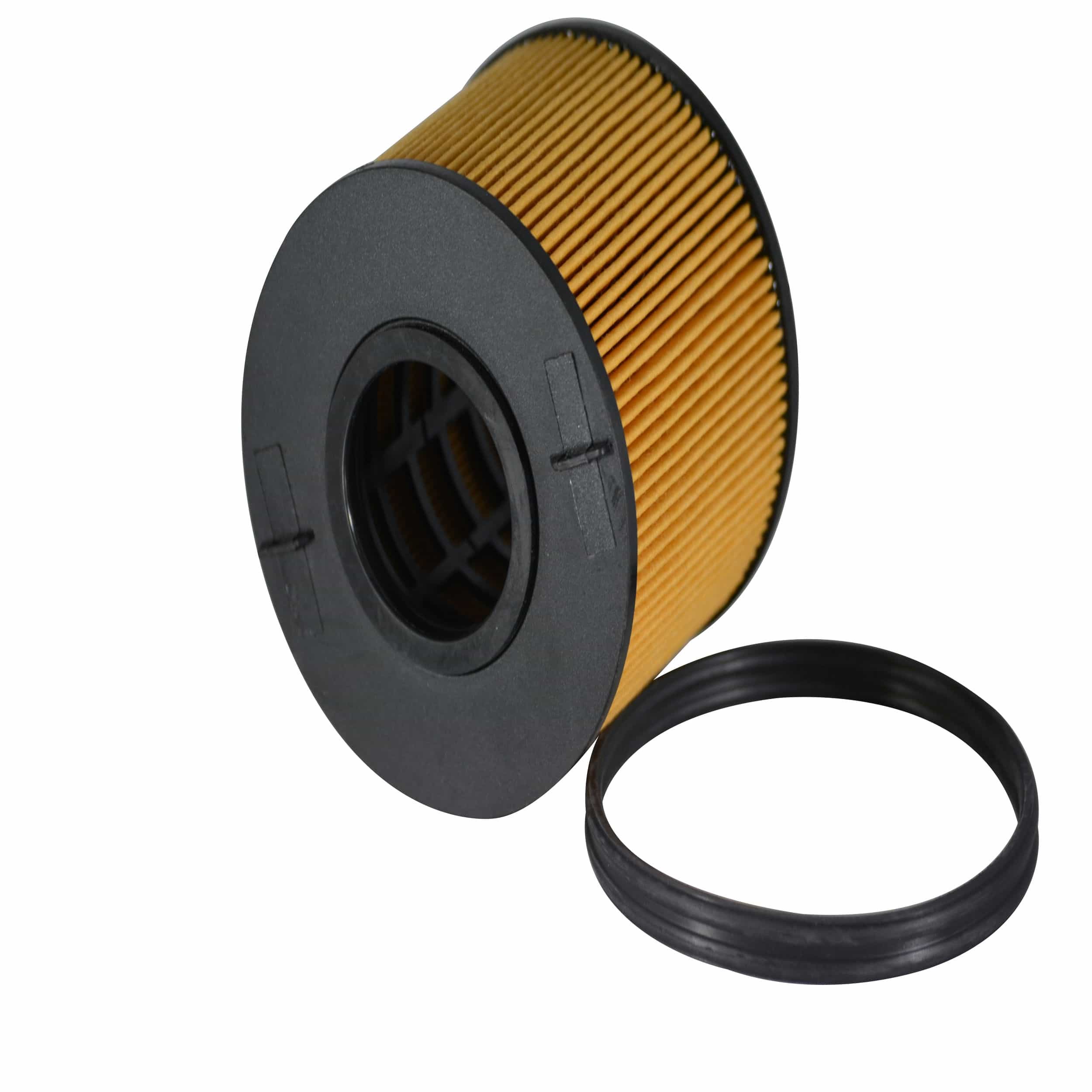 Fuel Filter (F7019)
