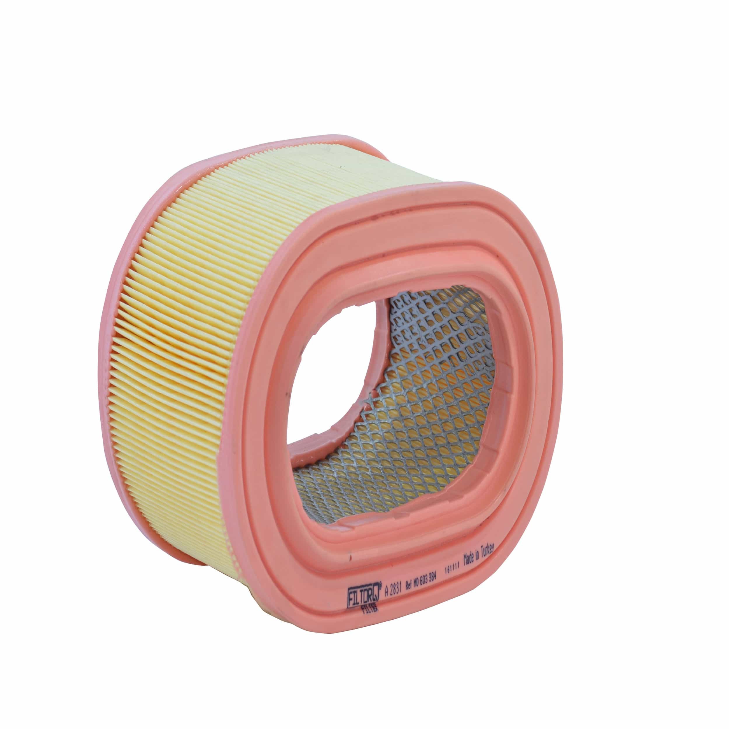 Air Filter (A2831)