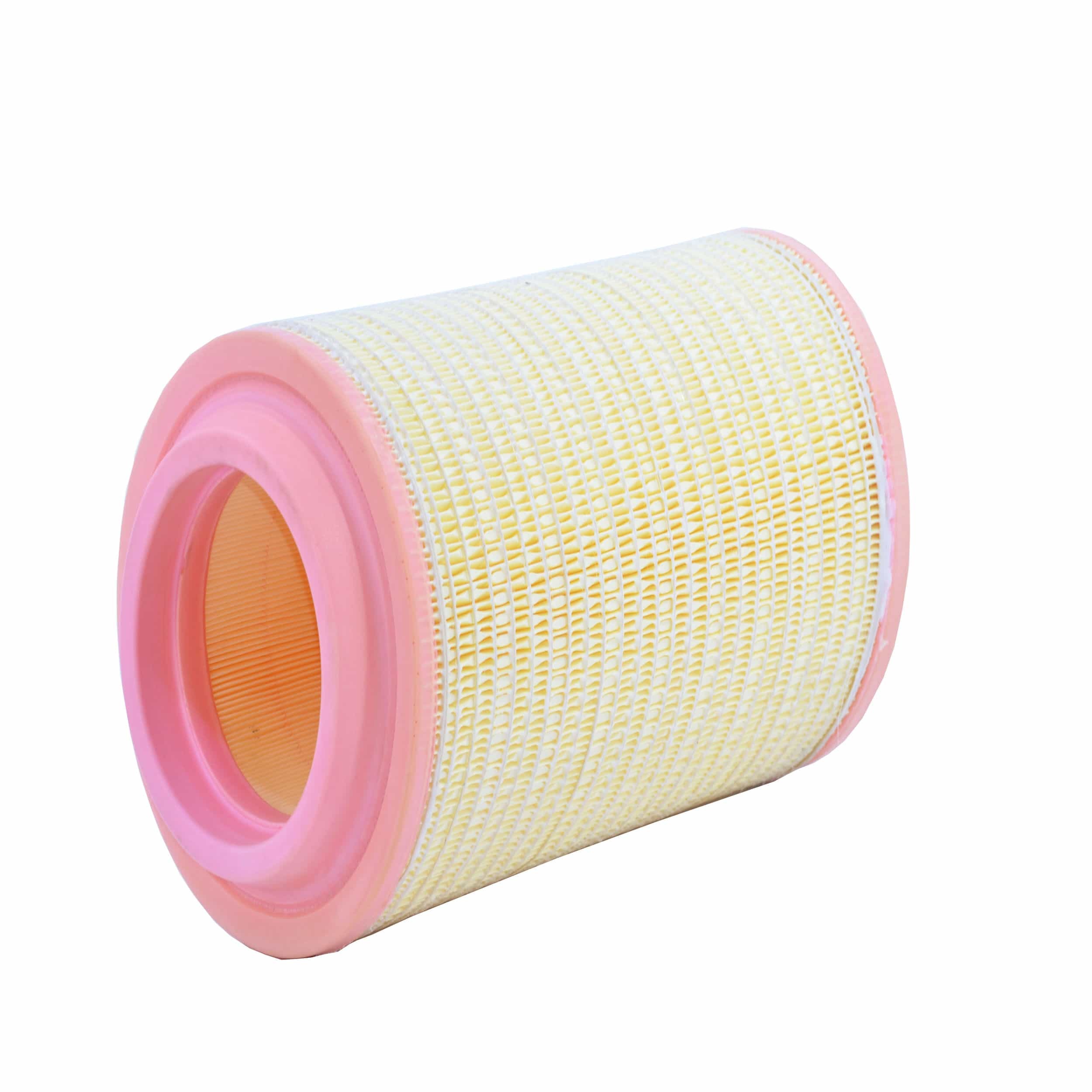 Air Filter (A2655 H)