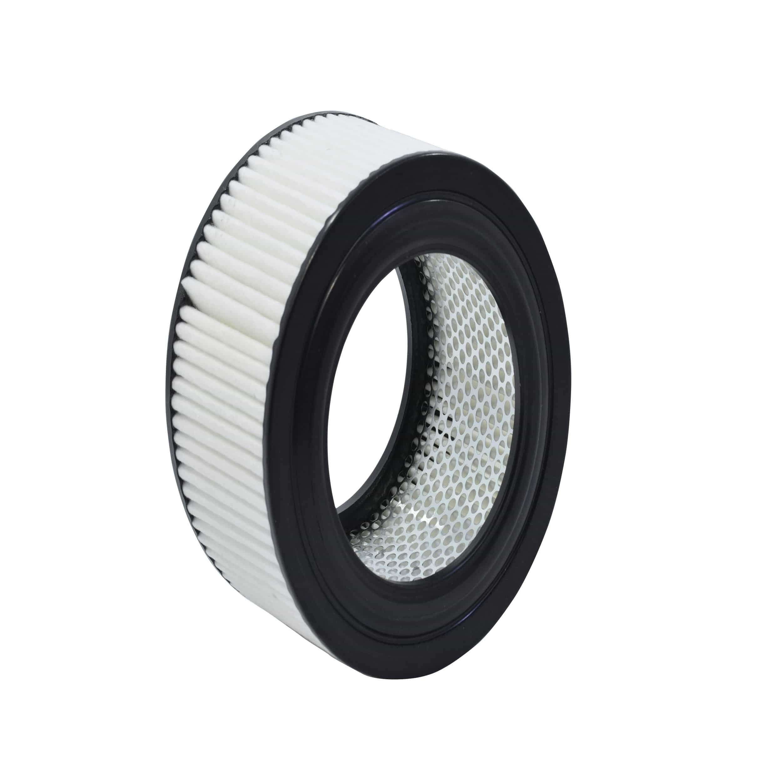 Air Filter (A2837)