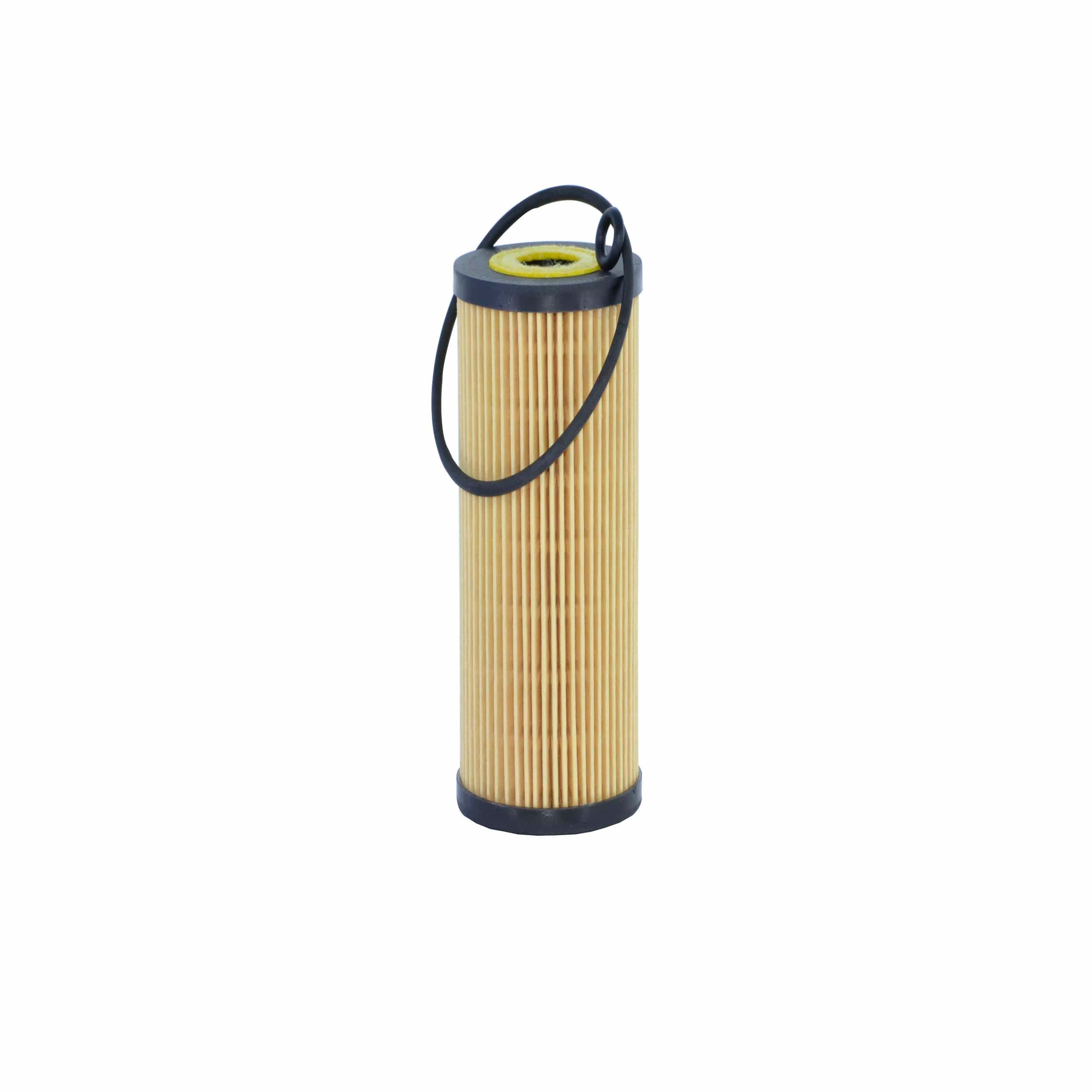 Oil Filter (L5071)