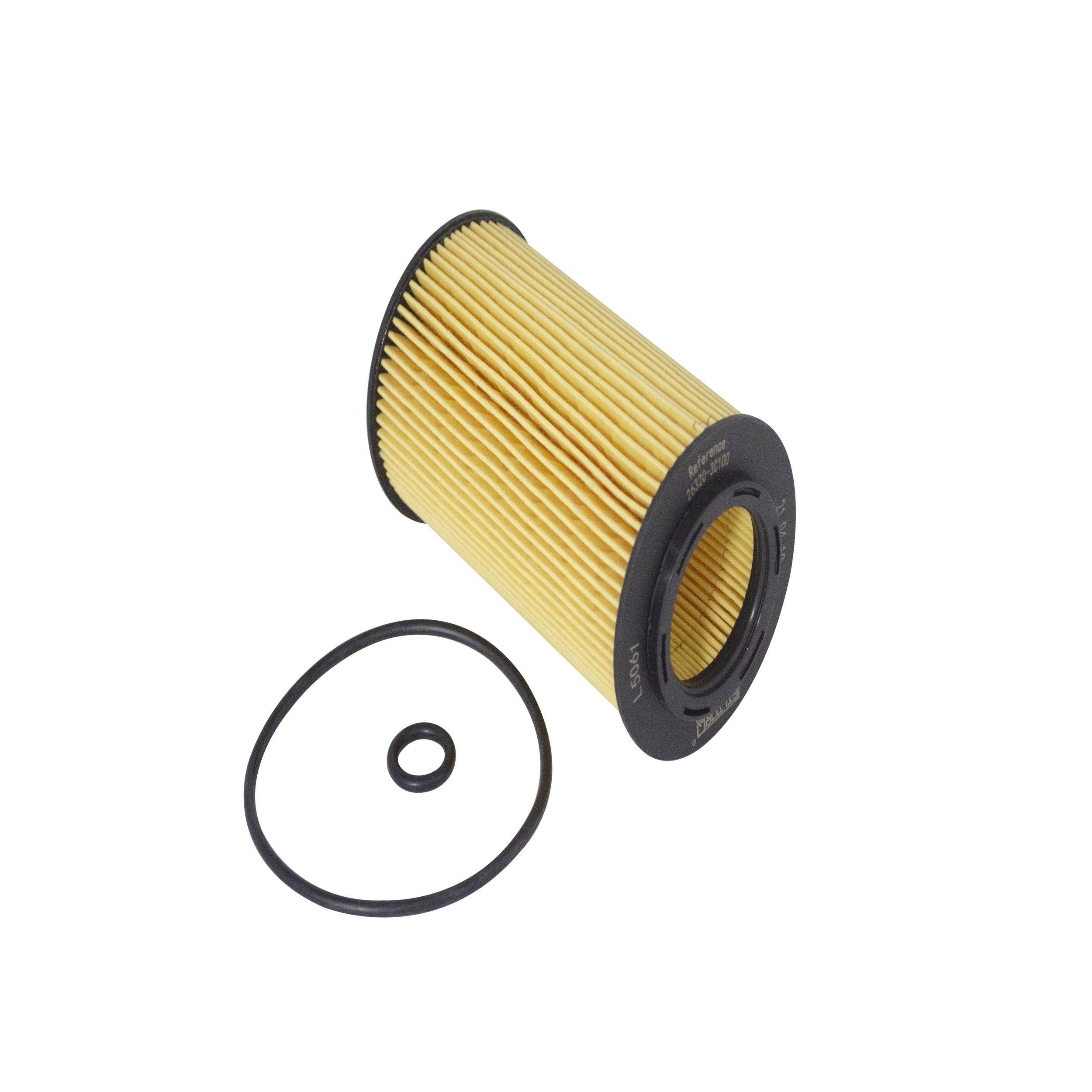 Oil Filter (L5061)