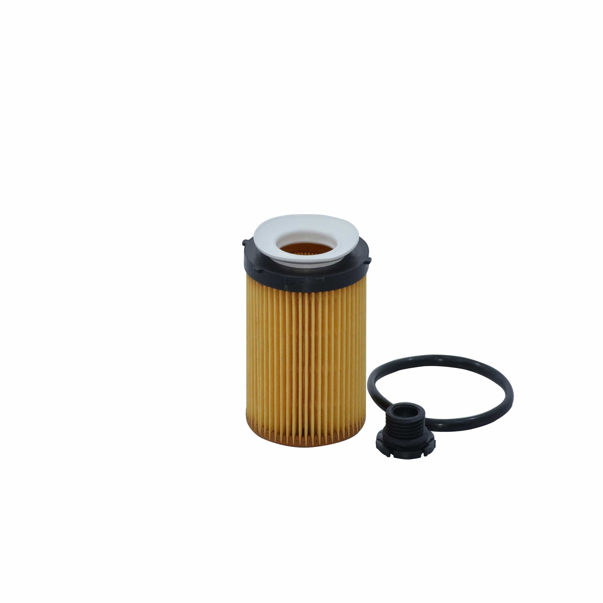 Oil Filter (L5129)