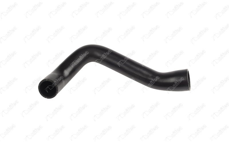 Radiator Hose (35283)