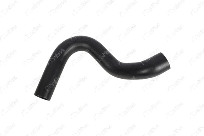 Charge Air Hose (19916)