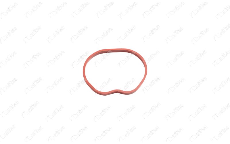 Gasket, intake manifold (19779)