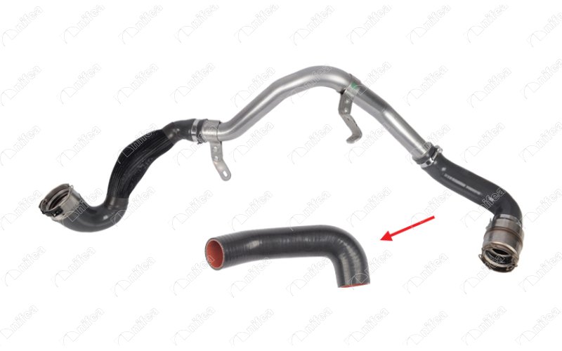 Charge Air Hose (12785)