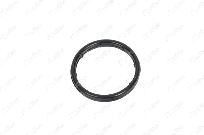 Seal Ring, oil cooler (21176)