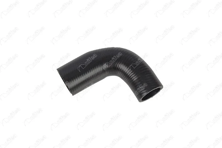 Radiator Hose (17492)