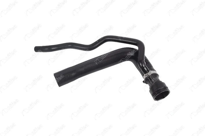 Radiator Hose (27231)