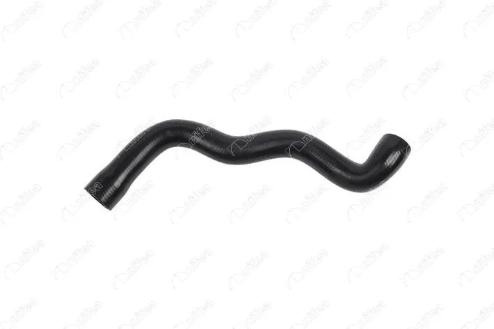 Radiator Hose (33173)