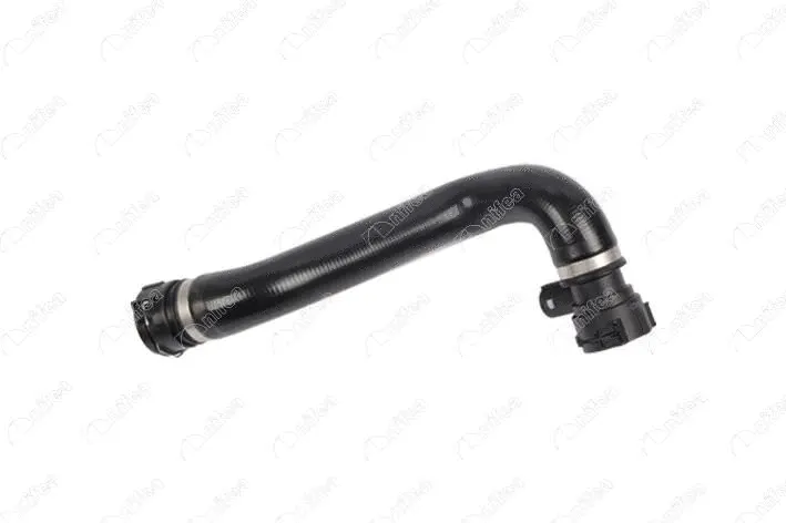 Radiator Hose (35180)