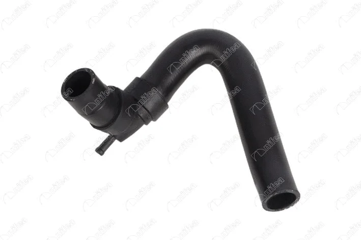 Radiator Hose (31521)