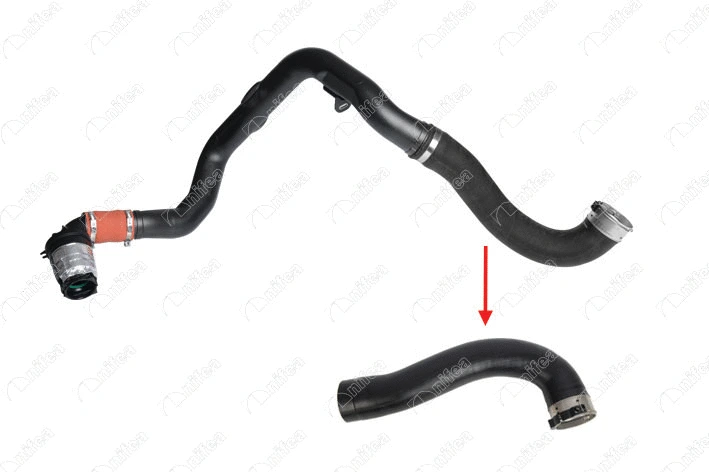 Charge Air Hose (12756)
