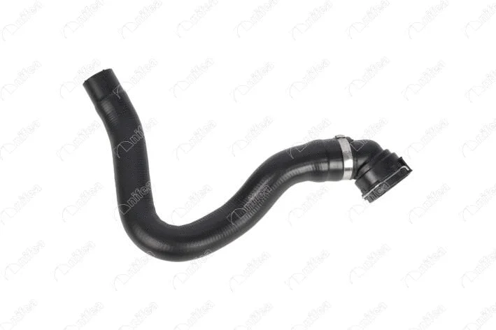 Radiator Hose (14921)