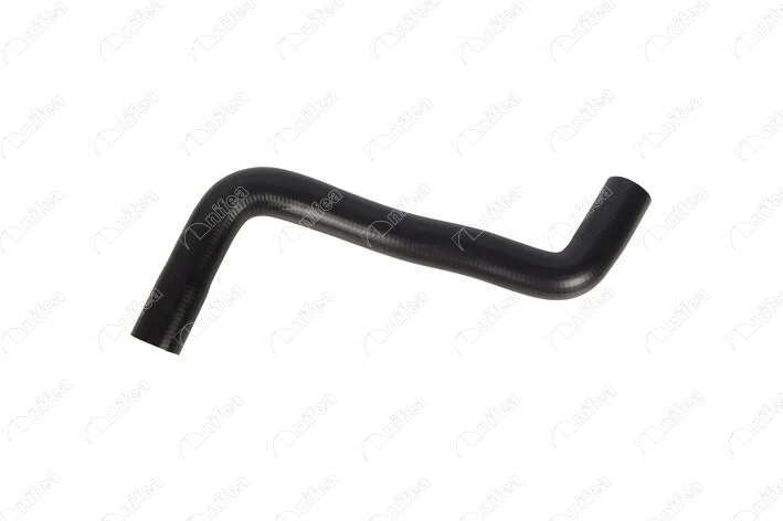 Radiator Hose (11561)