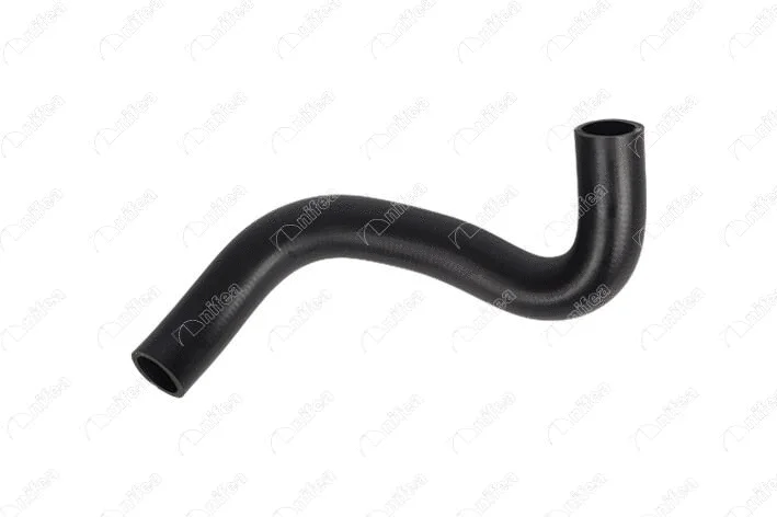 Radiator Hose (25141)