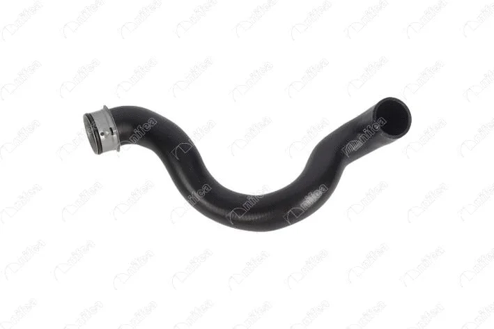 Radiator Hose (33140)