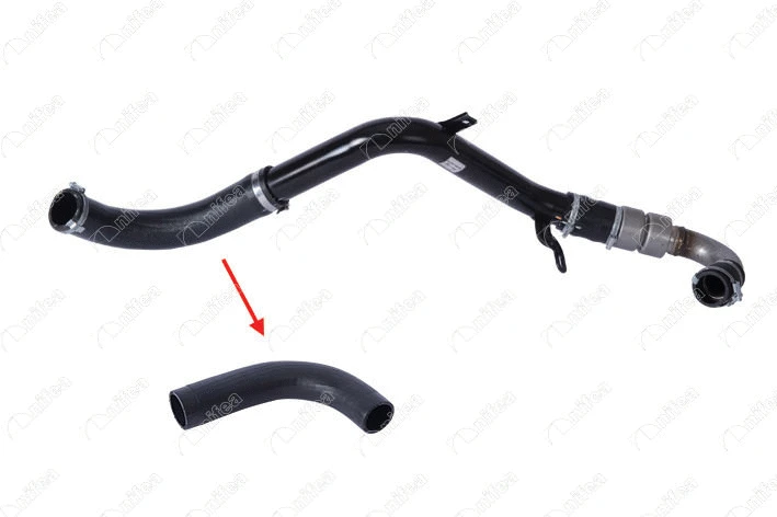 Charge Air Hose (19957)