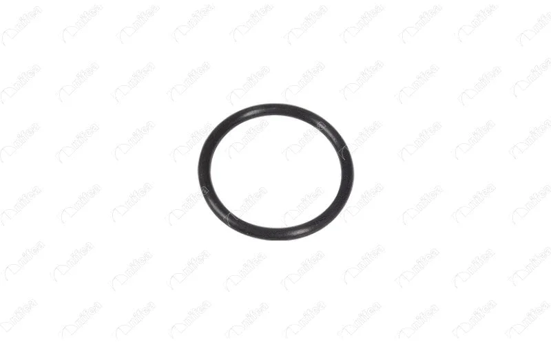 Seal, coolant pipe (27591)