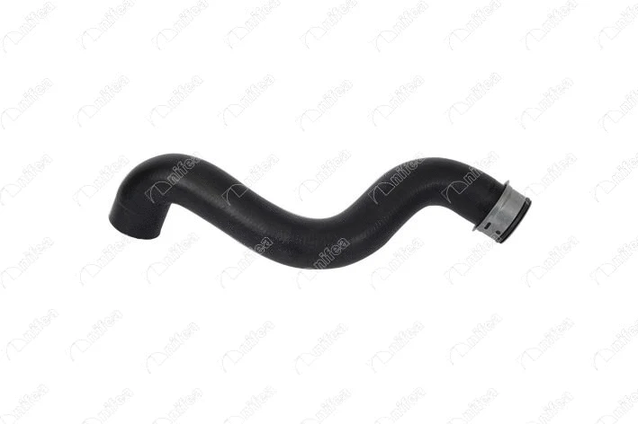 Radiator Hose (33536)