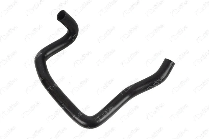 Radiator Hose (17282)