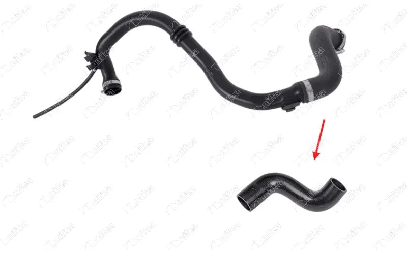 Charge Air Hose (11974)