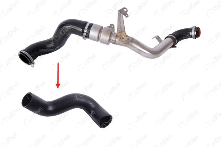 Charge Air Hose (20023)