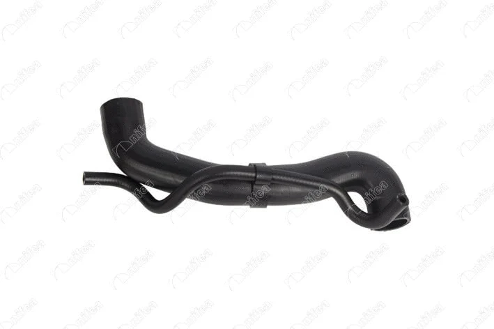 Radiator Hose (33422)