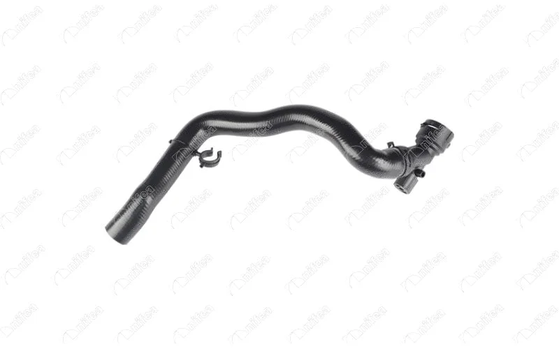 Radiator Hose (27780)