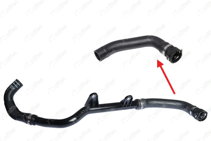 Radiator Hose (14874)