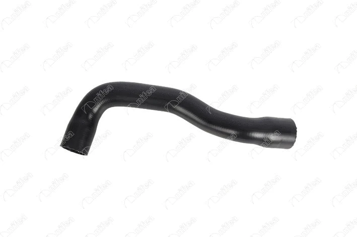 Radiator Hose (35064)