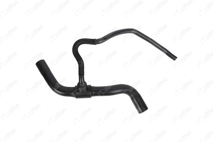 Radiator Hose (11741)