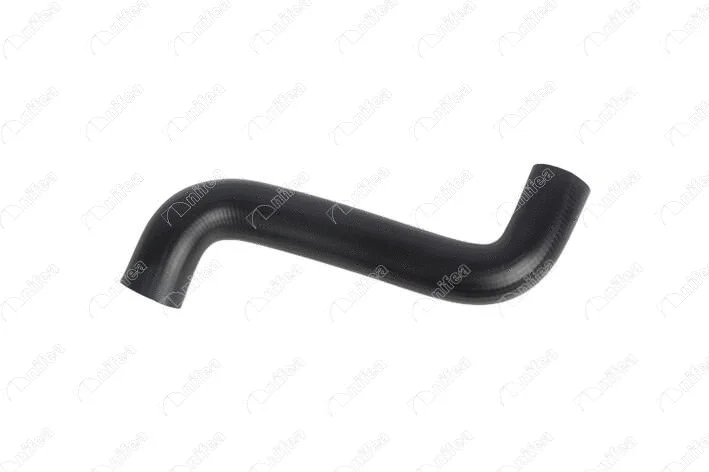 Radiator Hose (33402)