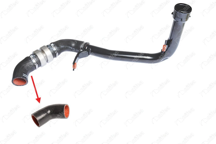 Charge Air Hose (14872)