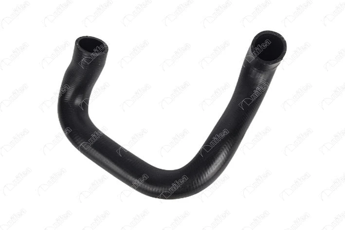 Radiator Hose (35123)