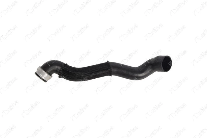 Radiator Hose (33104)