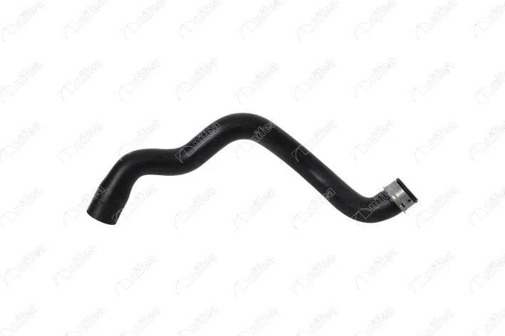 Radiator Hose (33539)
