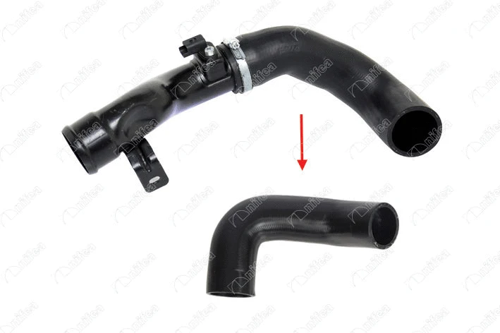 Charge Air Hose (19875)