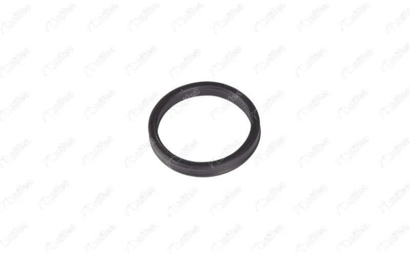 Seal, coolant pipe (27590)