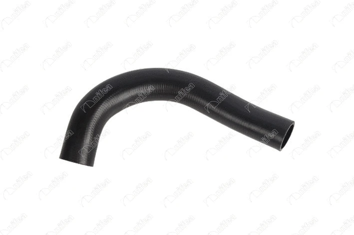 Radiator Hose (33434)
