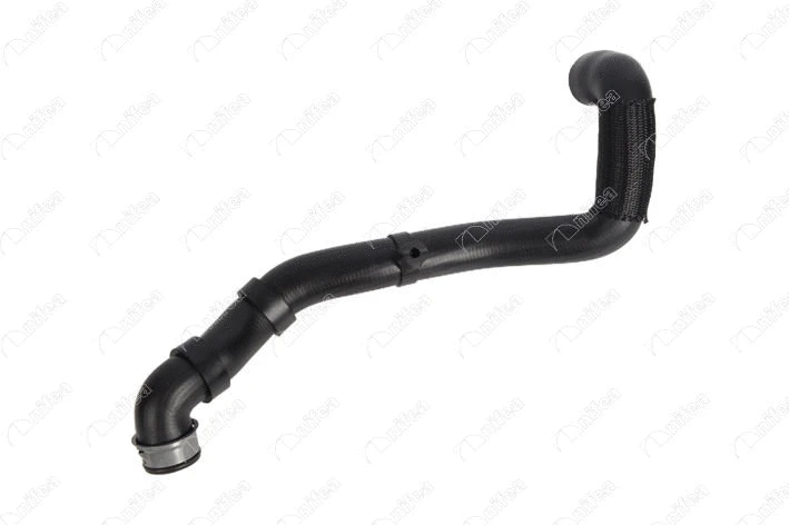 Radiator Hose (33109)