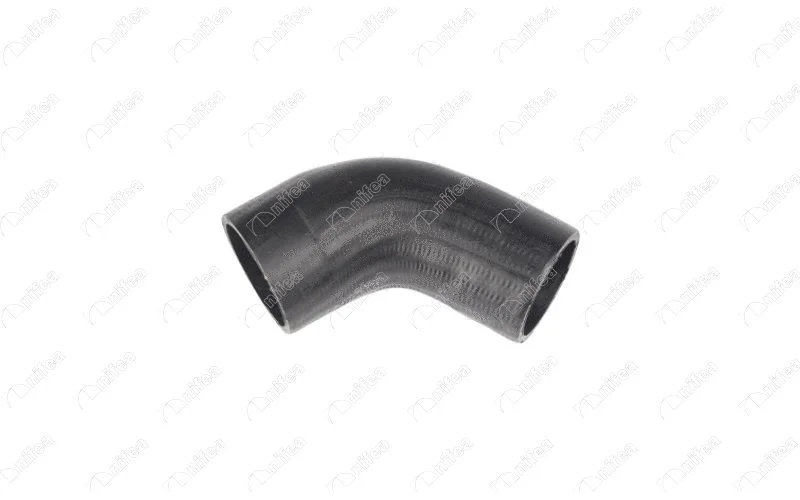 Charge Air Hose (22787)