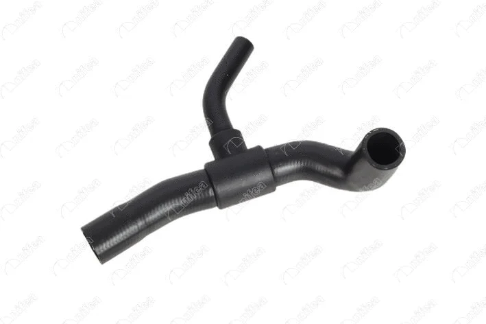 Radiator Hose (19812)