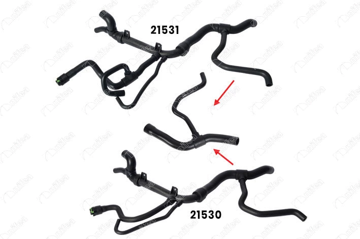 Radiator Hose (21535)