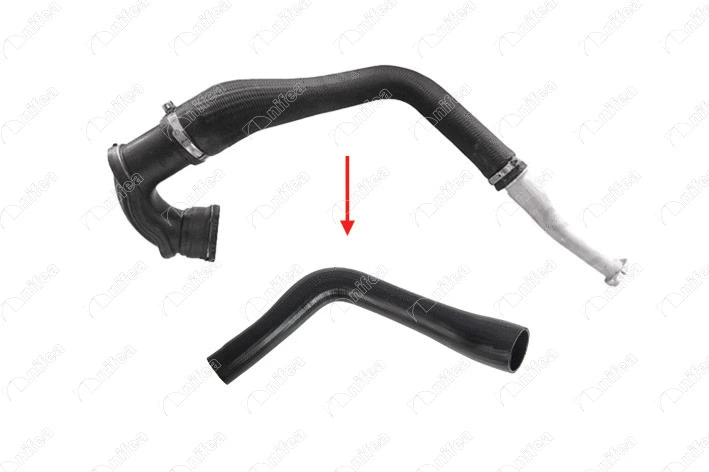 Charge Air Hose (21276)