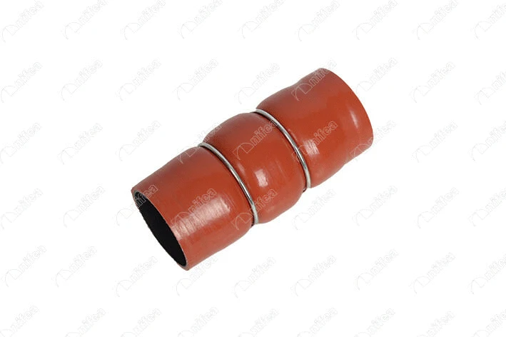 Charge Air Hose (17250)